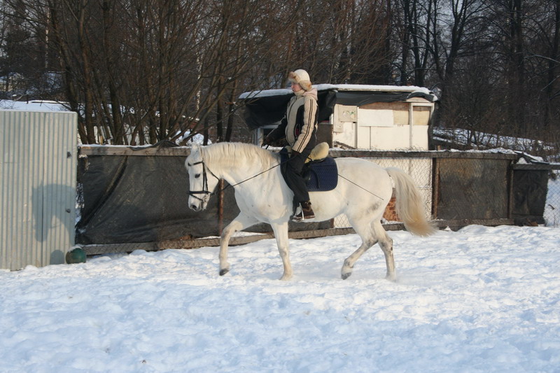 IMG_1681.jpg1.jpg"%20height="533"%20width="800